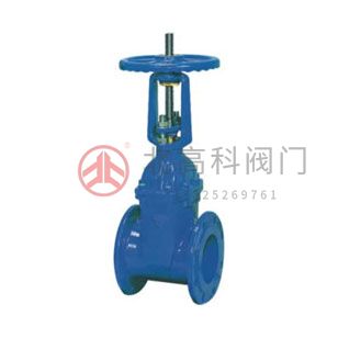 Z45X-10、Z45X-16 彈性座封閘閥